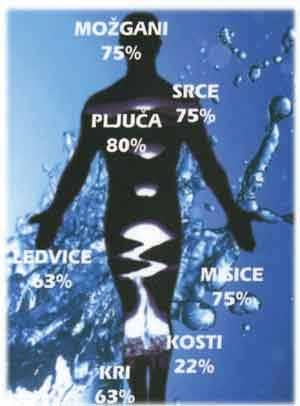 Naše telo vsebuje približno 65 odstotkov vode. Najpomembnejše telesne funkcije so odvisne od vode, zato človek umre, če je nekaj časa brez vode.