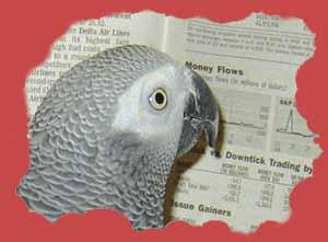 Nekateri papagaji so zmožni osvojiti besedni zaklad več kot sto besed.