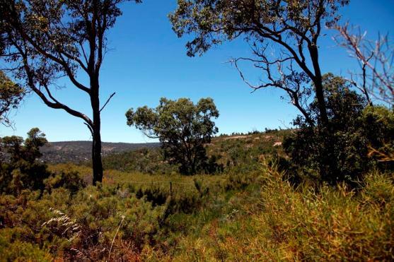 Cedar Woods Presentation 13 Bushmead Project Update 273ha site expected to deliver approximately 750 homes in Hazlemere, 16km from Perth s CBD The Local Structure Plan (LSP) lodged with