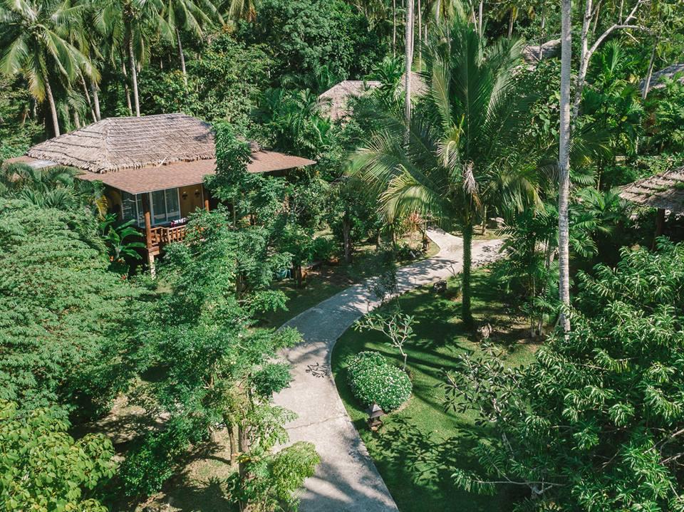 The resort s 40 cottages are set amidst the tropical green gardens, and coconut groves.