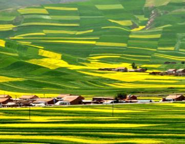 About Agritourism - China