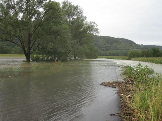 povzročila največ škode ter poplavljala površine dosti večjega obsega od vsakoletnih poplav (Kastelic in sod., 2011).