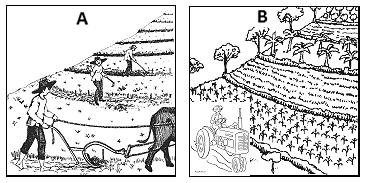 Geography/P1 10 DBE/November 2014 FIGURE 4.2: TYPES OF FARMING [Source: www.cnx.org] FIGURE 4.