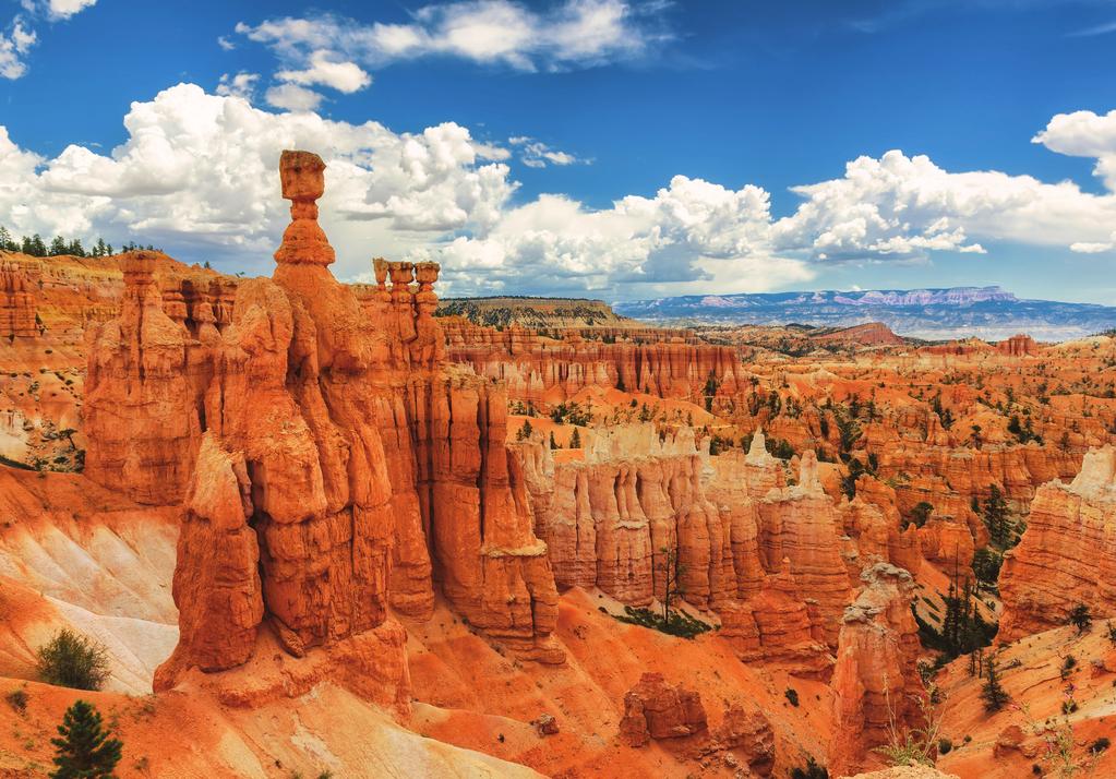 We experience Bryce Canyon s stunning natural stone pillars on Day 8. on our own and an afternoon at leisure before we dine together tonight.