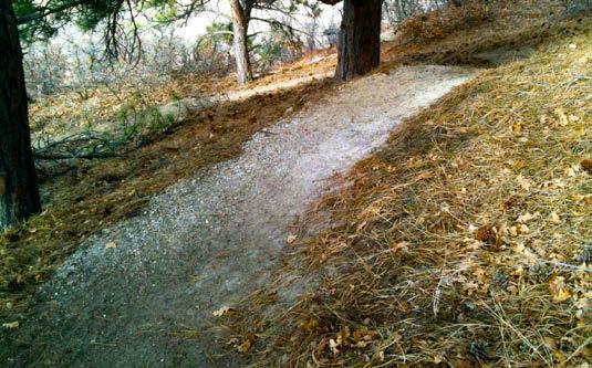 Trail Type: Natural Surface Trail (See  Group: Hikers, Bikers.