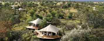 Main Governors Camp In a magical setting, nestled along the banks of the Mara River, this camp has 37 luxury tents. Little Governors Camp.