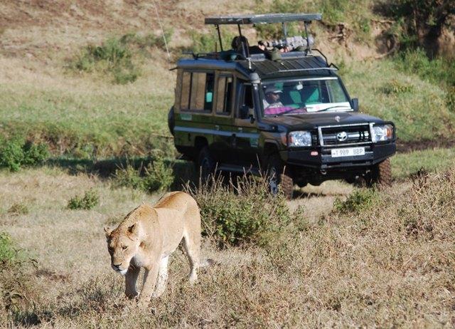 Guided Camping Tour 12 Days /11 Nights East Africa Kenia & Tanzania This safari endeavors to combine the highlights of both Kenya and Tanzania.