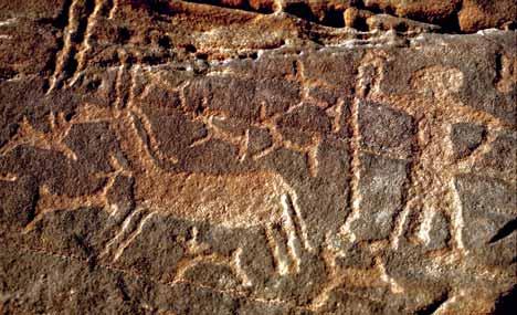 During the most recent survey missions to the Eastern Desert, my dedicated team of recorders and researchers have discovered that the ancient artists were not only drawing images of animals, hunters