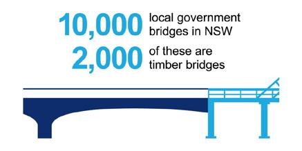 Country Bridge Solutions Local councils face the growing