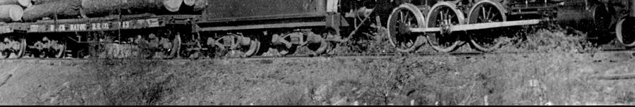 Another, the Black Bayou Railroad Company, was at historic Myrtis and went southwest into Texas and two originated in Texas.