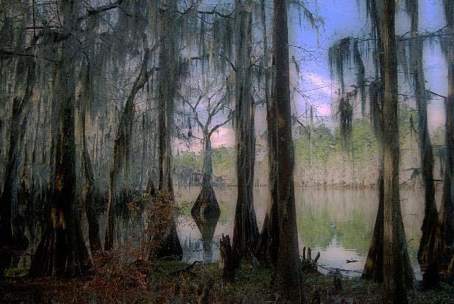 The cultural heritage is, by large part, invisible to the visitor. Come see the Invisible Lake CADDO Come see where Robert Potter was murdered on the invisible lake.