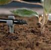 1341-20 ENDLINE DRIP HEAD 4 L/H For accurate spot watering of single plants or longer rows of plants with
