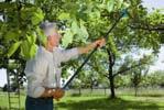8780-20 COMFORT PRUNING LOPPER STARCUT 160 BL Effortless cutting of dense trees and hedges.