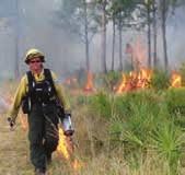 activities such as vegetation reduction, prescribed fire, managed grazing, invasive plant management and related activities.