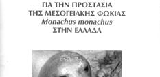 The 1996 Strategy In 1996, recognising the need of a formal long term national strategy binding both national and EU authorities, two Greek NGOs particularly concerned for the survival of monk seals