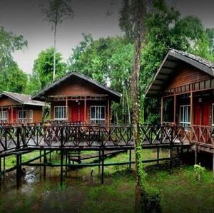 Kinabatangan River : Borneo Nature Lodge (Lodge) 3 nights Borneo Nature Lodge is an eco-friendly resort that lies on the banks of the Kinabatangan River.