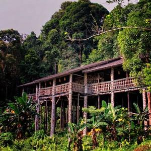 Overnight stay in Mulu National Park. --Mulu National Park is a UNESCO World Heritage Site made up of mountains and rainforest, yet, its main attraction lies beneath the ground.