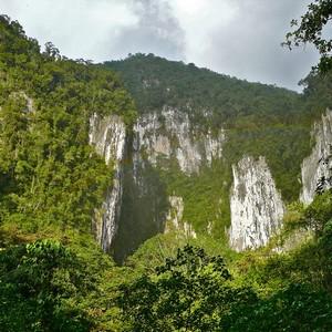 of the cave and create swilling patterns in the sky, is a sight to behold. Mulu has become the site for many research projects, including that of the Royal Geographic Society.