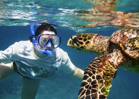 Borneo Science, Sea Life and SCUBA 16 s This truly incredible educational journey