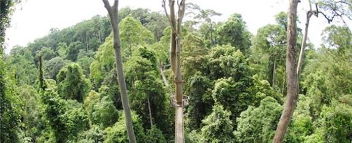 5 LOCATION: DANUM VALLEY IN: 24 APRIL OUT: 27 APRIL The Danum Valley conservation area protects some of the last remaining pristine lowland rainforest on the island.