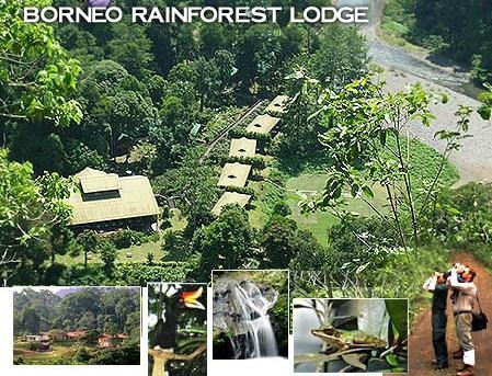 ETC Post Tour 3 Discover Danum Valley s Rainforest Its Exotic Flora and Fauna Three Days / Two Nights Programme Valid from 16th October to 30 th November, 2014 Day One Take early morning flight to