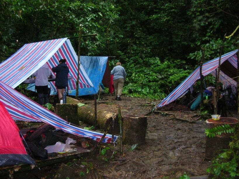 Where will we sleep? During the trek you will spend each night in jungle clearings set up as temporary camps, or small village community centres.