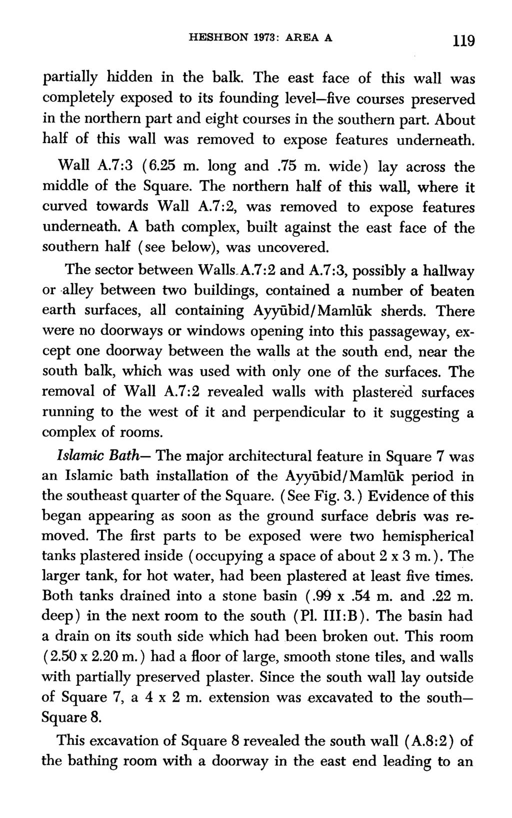 HESHBON 1973: AREA A 119 partially hidden in the balk.