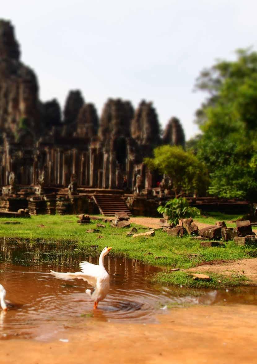 Asia Cambodia is on everyone s let s go there next list, and as the country opens up with more attractions, visitors will see the beauty here that has been hidden for so long under the cover of its