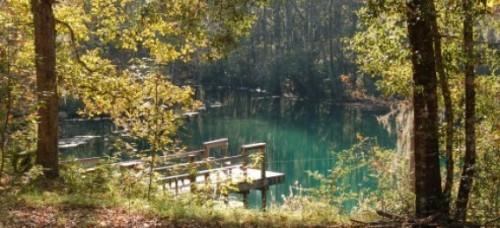 Offered for $900,000.00 70 Acres of forested lands with a ¾ mile spring run. Beautiful view of the springhead flow into the spring run which connects to Wakulla Springs State Park.