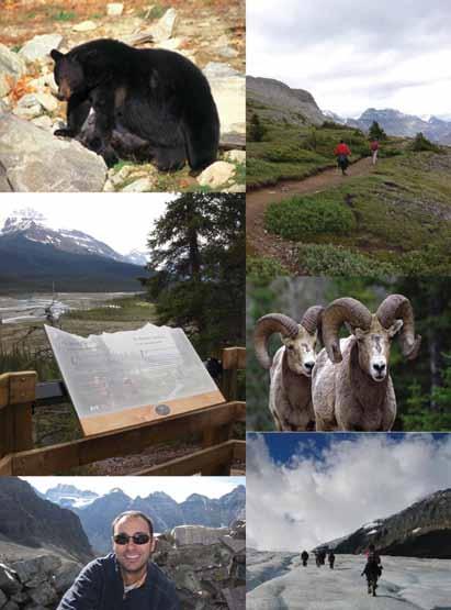 Banff National Park of Canada and vegetation resources, and related ecosystem processes, are also anticipated.