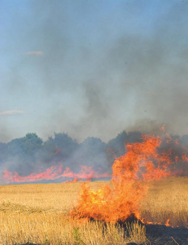 THE BIG PICTURE FireSmart farming is all about preparing your property for the threat of wildfire.
