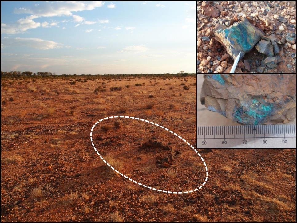 Figure 2: Copper mineralisation was discovered outcropping at the Company s Little Well copper prospect.
