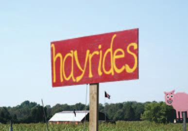 Health and Safety Guidelines for Specific Attractions Hayrides Hayrides are a common agritourism attraction. If done properly they can be a very enjoyable experience for children visiting the farm.