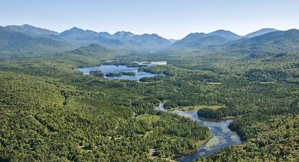 Final Reports from April 2014 Grantees ADIRONDACK COUNCIL We supported Adirondack Council s Adirondack Forest Preserve Campaign to protect 40,000 acres in the state of New York, by adding them to the