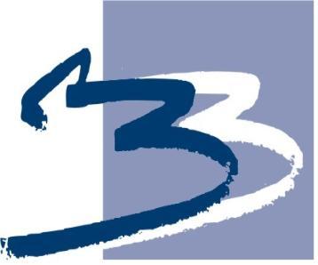 B&B VIŠJA STROKOVNA ŠOLA Diplomsko delo višje šolskega strokovnega študija Program: Logistično inženirstvo Modul: Cestni promet VINJETNI SISTEM