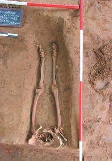 Hrvatski arheološki godišnjak 3/2006 U S 1 nastavljeno je istraživanje grobnih cjelina, a neki od grobova otkriveni su i u sondi koja se počela istraživati 2006. godine.