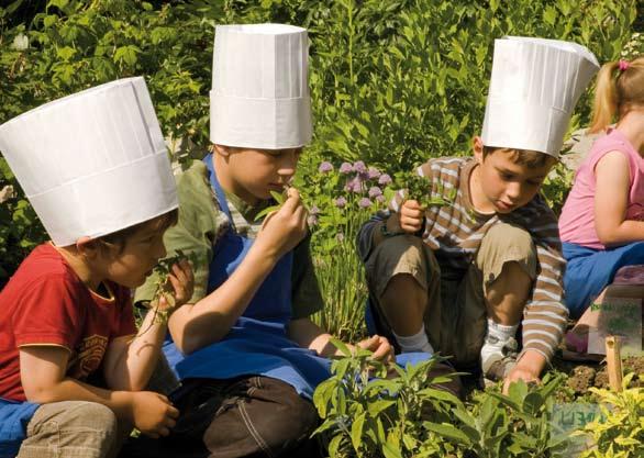 Herb garden Culinary workshops for children Are your children enchanted by star TV chefs or do they simply like to help you to create new combinations of flavours for your Sunday lunch?