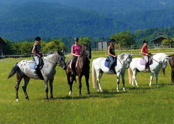 HORSE CLUB LESCE BLED Horseback riding WHEN? Horseback riding is possible all year round in favourable weather conditions. MRCINA RANCH, BOHINJ WHAT?