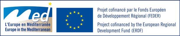«Innovative financial instruments to support energy sector SMEs in Med area» MED Programme