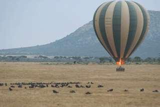 Africa s most famous national park covers an area of almost 15000 sq km and is world-renowned for its dense predator population and the annual wildebeest migration.