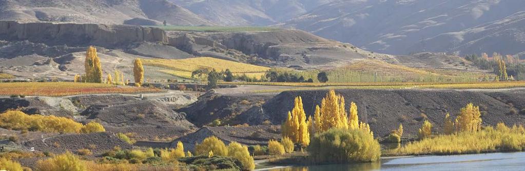 THE CENTRAL OTAGO REGION Central Otago is known for it s quality orchards and stone fruit. Locally there is Jones Orchards and Jackson Orchards close by.