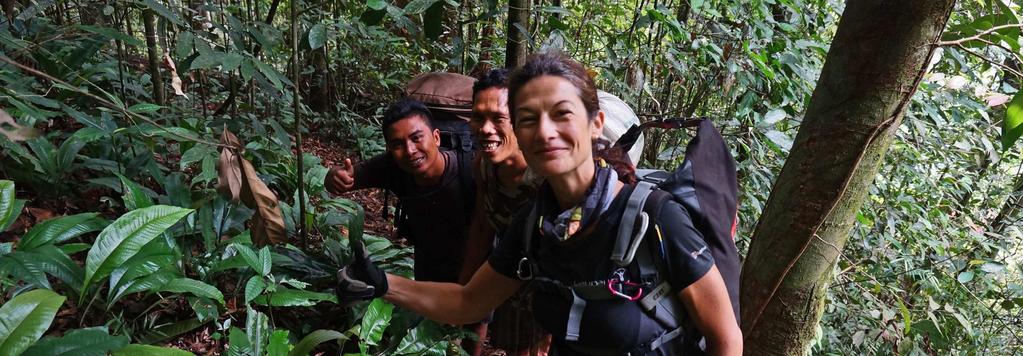 OVERVIEW SUMATRAN ORANGUTAN TREK CANX INDONESIA 2 In aid of Sumatran Orangutan Society 12 Apr 22 Apr 2012 11 DAYS INDONESIA TOUGH This aweinspiring challenge takes place in the mountainous Gunung