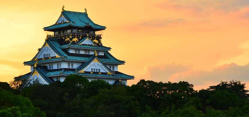 Beauty of Japan 12 DAY TOUR OF OSAKA, TOKYO, KYOTO AND MORE WITH FLIGHTS INCLUDED.