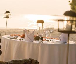 Private Island BBQ Dinner: A delicious BBQ dinner, expertly prepared by our chefs. Enjoy your special dinner on the soft sandy beach, as the sun begins to set.
