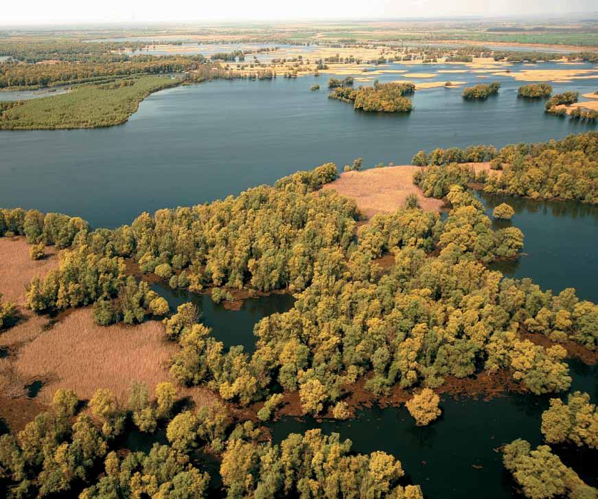 in cooperation with MURA DRAVA DANUBE CONSERVING THE AMAZON OF EUROPE