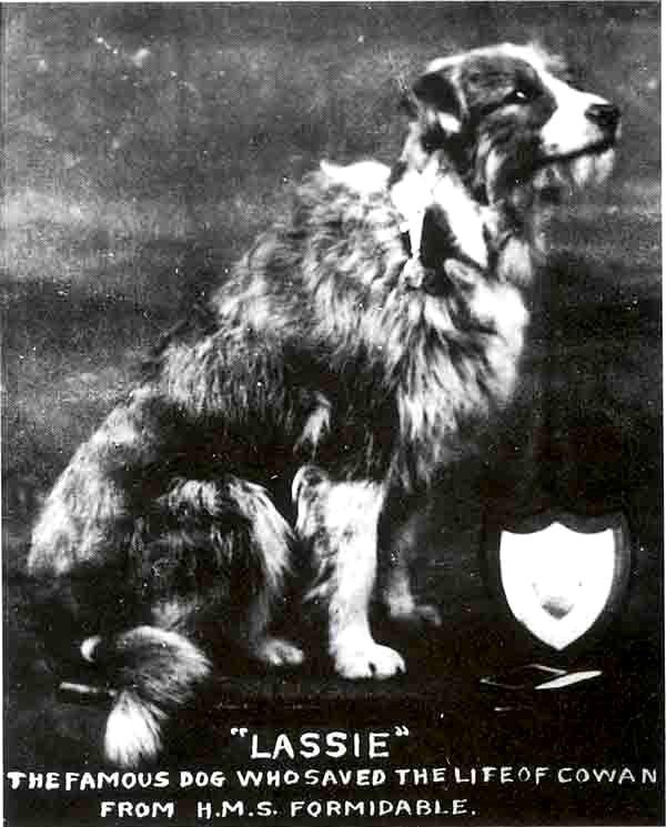 Among those lost were Captain Loxley and his dog Bruce who were last seen on the bridge.