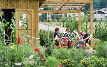 Garden sheds are at the centre of communal life in Community Eco Urban Garden.