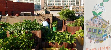 Mullae Urban Garden is a well-known rooftop community garden in Seoul.