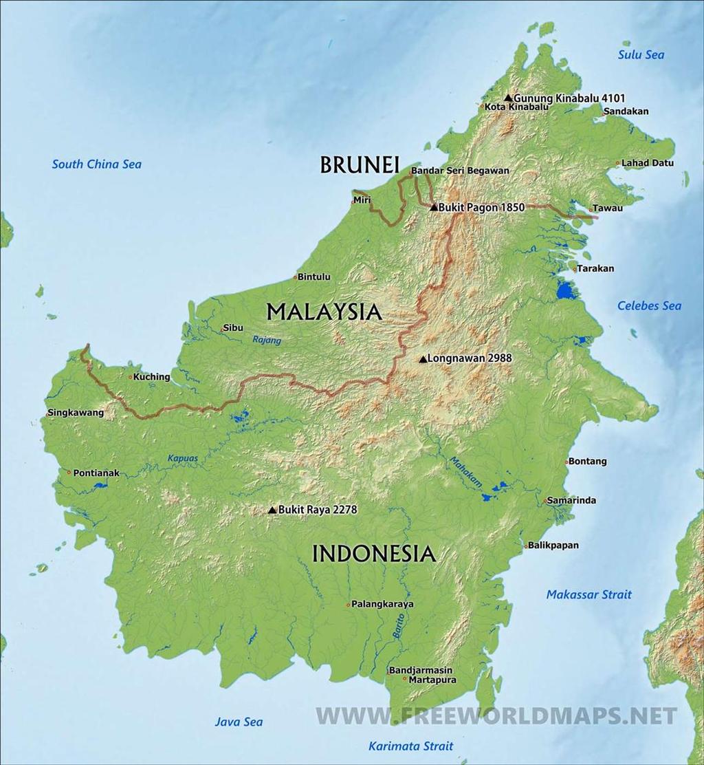 Sun Bears: Sabah Scuba Diving & Snorkeling: Sabah Cultural Experiences & Festivals: Sarawak Climbing and/or Hiking: Sabah As you can see above, there is a lot to do on Borneo and it s important to