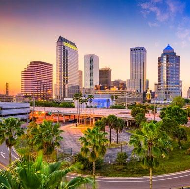 EXECUTIVE SUMMARY TAMPA S TRANSFORMATION Tampa is in the midst of a massive renaissance not experienced by the community since the early 900s.